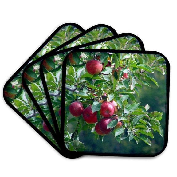 3drose, Apples, Set of 4 Coasters - Soft