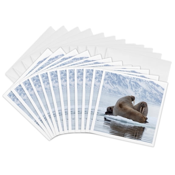 3drose, Arctic, Norway, Svalbard. Walruses Resting on the Pack Ice, 12 Greeting Cards with Envelopes