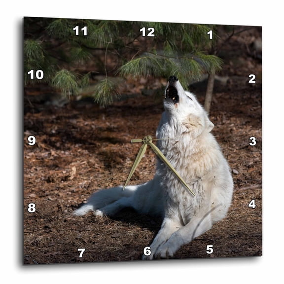 3drose, Arctic Wolf Howling, 15x15 Wall Clock