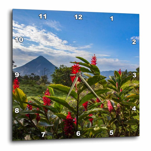 3drose, Arenal Volcano in Costa Rica with Tropical Flowers., 15x15 Wall Clock