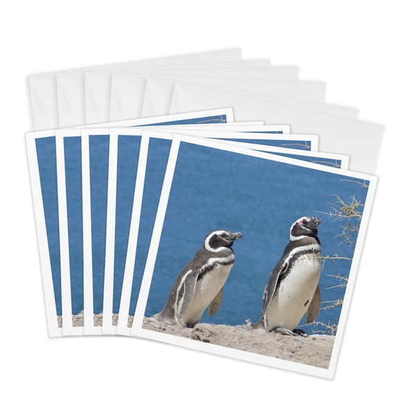 3drose, Argentina, Peninsula Valdes, Penguin Colony - Sa01 Mme0449 - Michele Molinari, 6 Greeting Cards with Envelopes