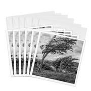 3drose, Argentina, Ushuaia, 6 Greeting Cards with Envelopes