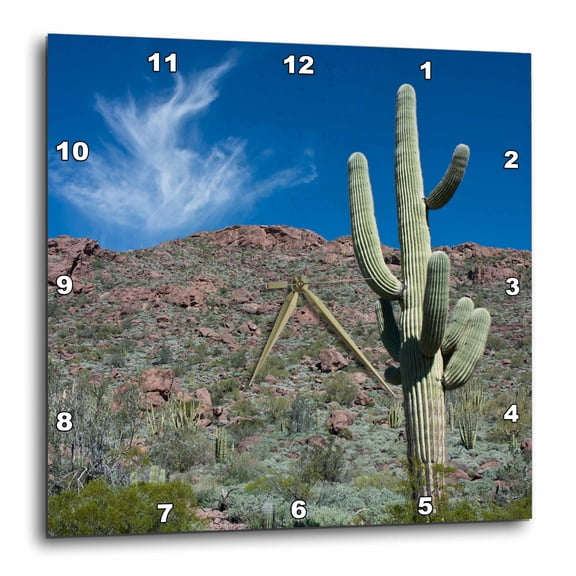 3drose, Arizona, Organ Pipe Cactus Nm, Alamo Canyon Trail, Saguaro Cactus, 10x10 Wall Clock