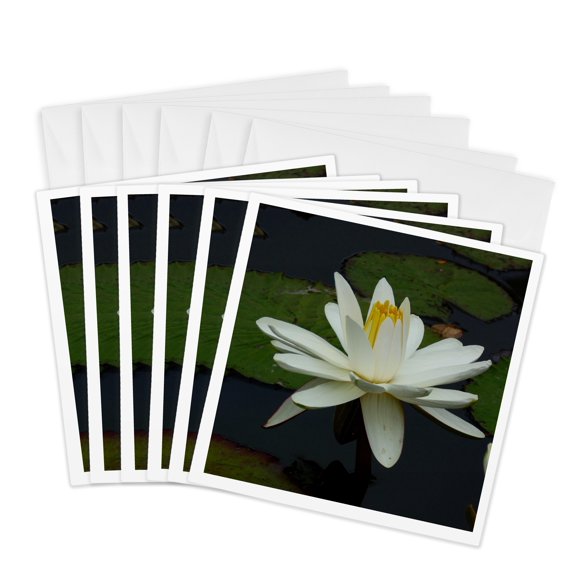 3drose, Asia Lotus Flower, 6 Greeting Cards with Envelopes