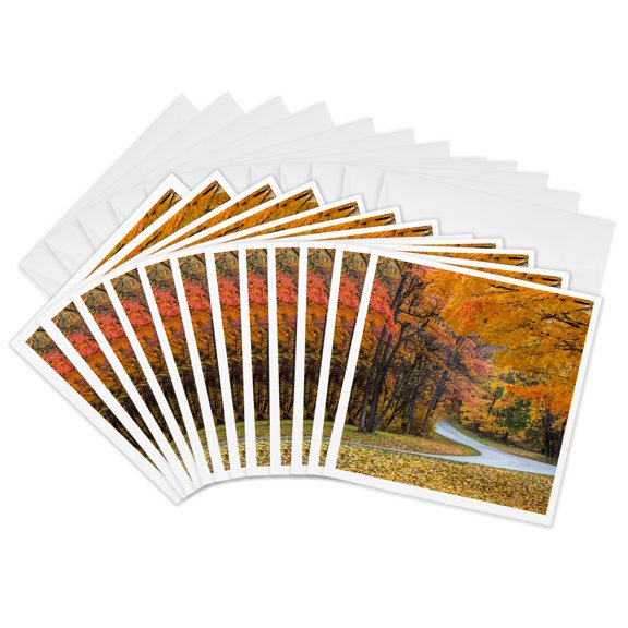 3drose, Autumn Color at Brown County State Park Near Nashville, Indiana, Usa, 12 Greeting Cards with Envelopes