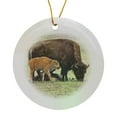 thumbnail image 1 of 3drose, Baby Bison, Yellowstone National Park, Wyoming - Us51 Aje0034 - Adam Jones, Circle Porcelain Ornament, 1 of 7