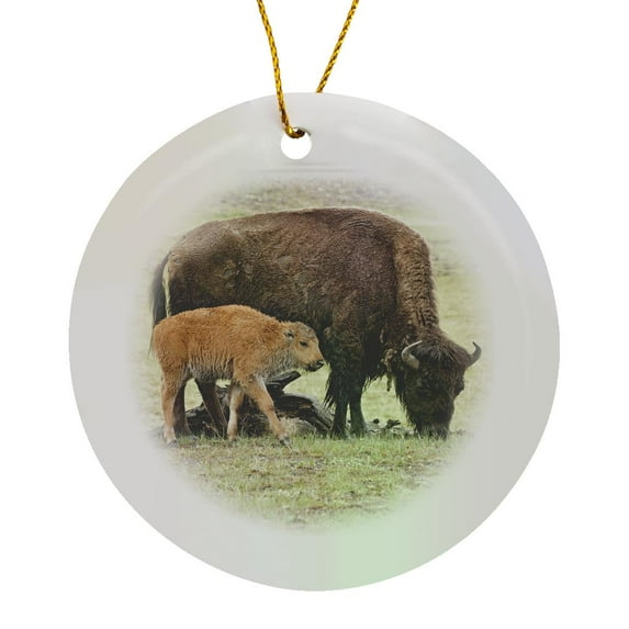 3drose, Baby Bison, Yellowstone National Park, Wyoming - Us51 Aje0034 - Adam Jones, Circle Porcelain Ornament