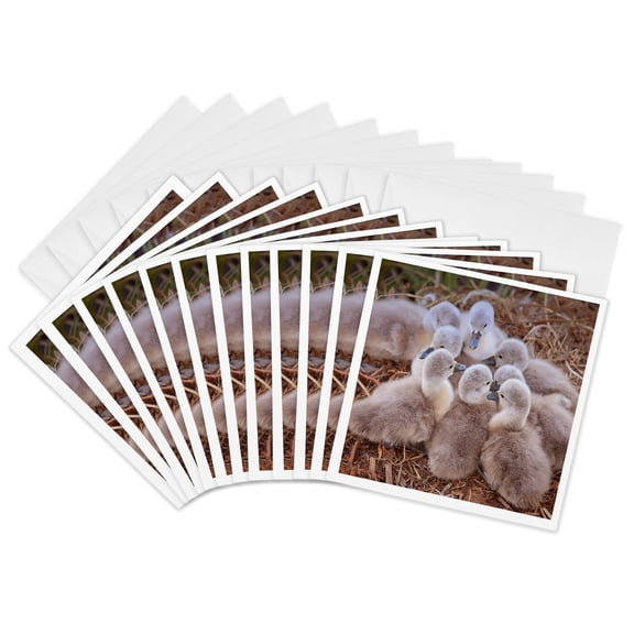 3drose, Baby Swans., 12 Greeting Cards with Envelopes