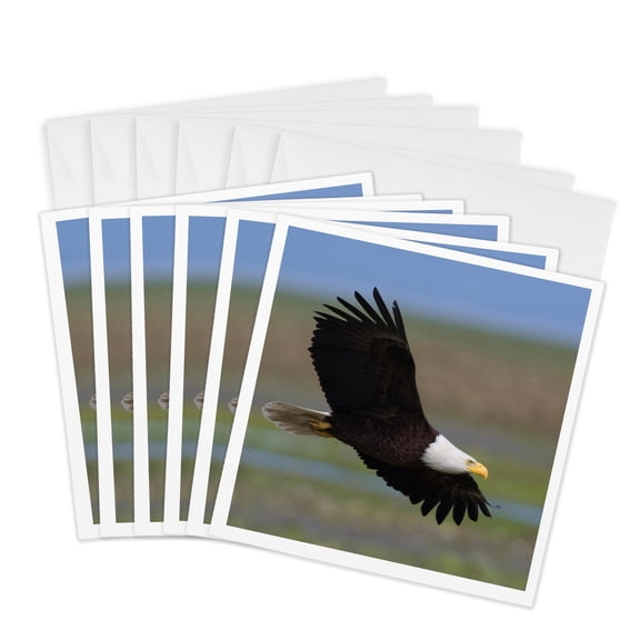 3drose, Bald Eagle, Wings Spread, 6 Greeting Cards with Envelopes
