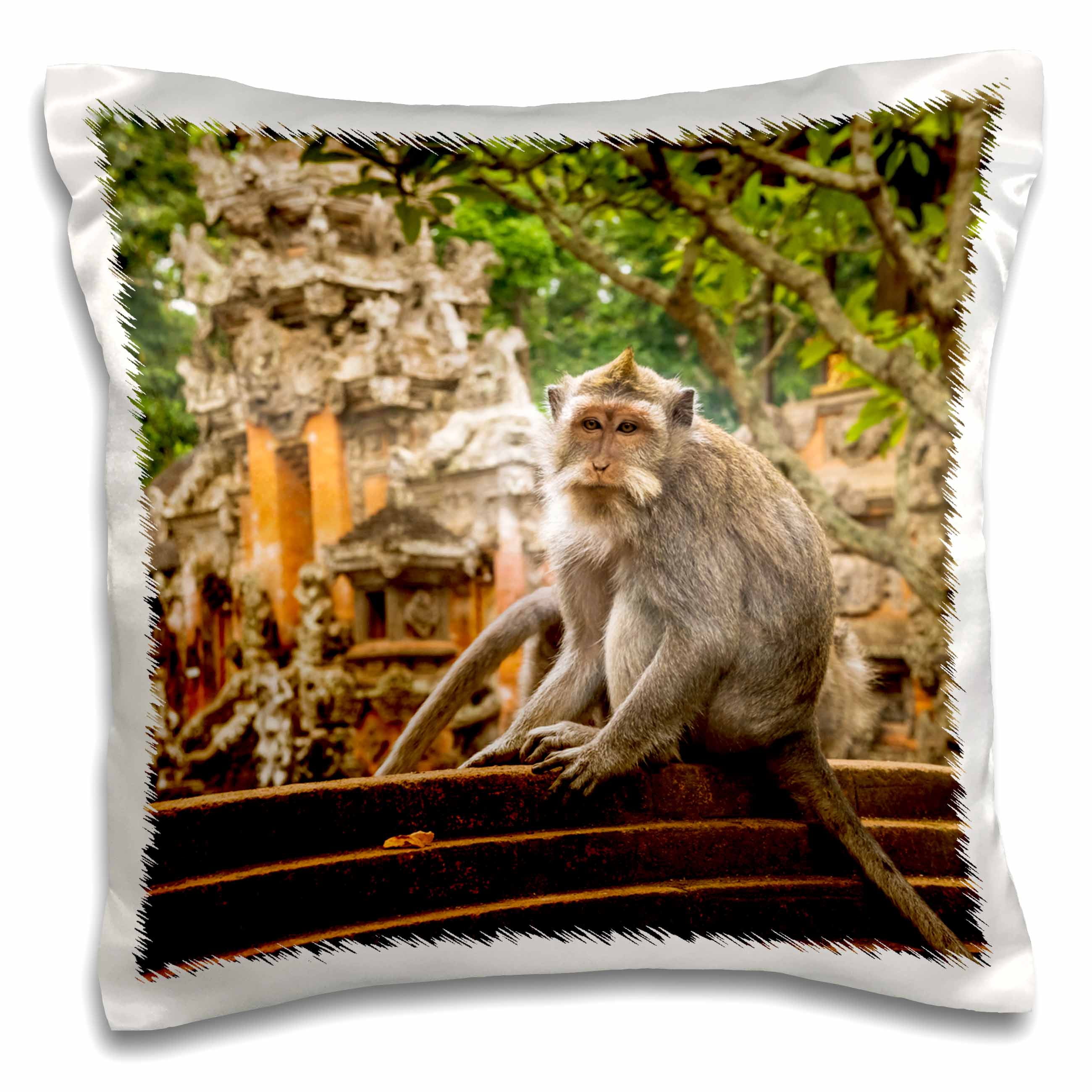 3drose, Balinese Long Tailed Monkey, Sacred Monkey Forest, Ubud, Bali ...