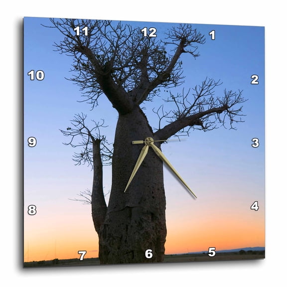 3drose, Baobab Trees (adansonia), Berenty, Toliara, Madagascar - Af24 Ksu0039 - Keren Su, 10x10 Wall Clock