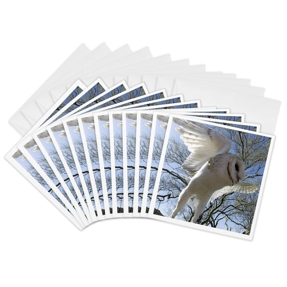 3drose, Barn Owl, Tyto Alba, Also White Night Owl, 12 Greeting Cards with Envelopes