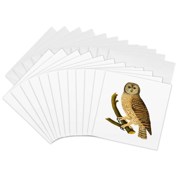 3drose, Barn Owl on Branch, 12 Greeting Cards with Envelopes