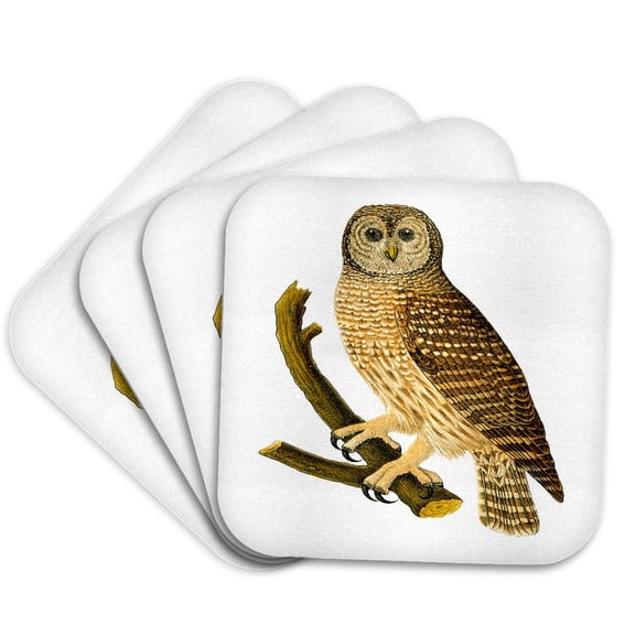 3drose, Barn Owl on Branch, Set of 4 Coasters - Soft