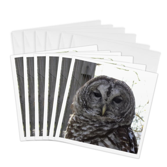 3drose, Barred Owl, 6 Greeting Cards with Envelopes
