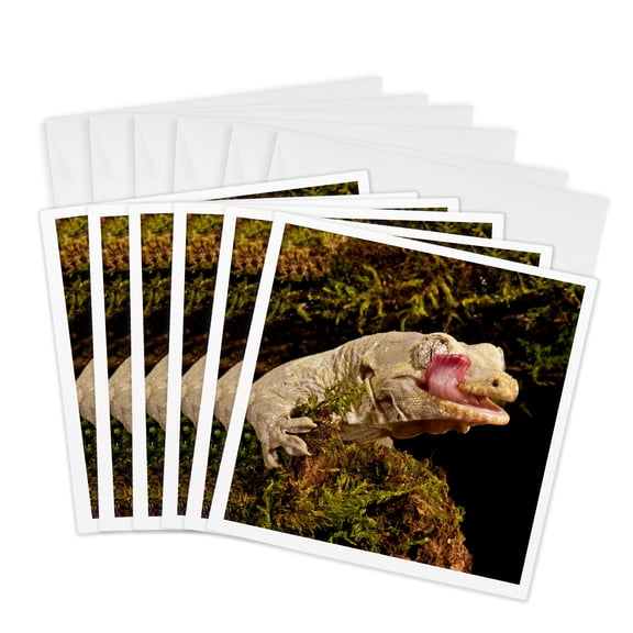 3drose, Bavays Giant Gecko, Lizard in New Caledonia - Na02 Dno0854 - David Northcott, 6 Greeting Cards with Envelopes