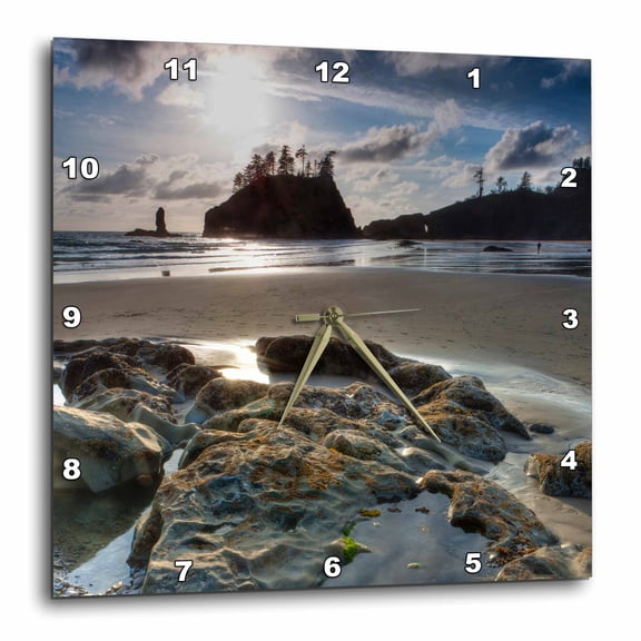 3drose, Beach, Olympic National Park, Washington, Usa - Us48 Tno0017 - Tom Norring, 15x15 Wall Clock