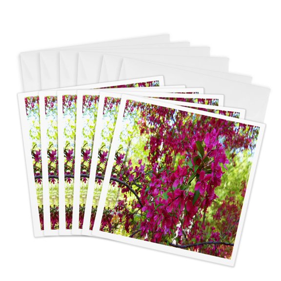 3drose, Beautiful Pretty Springtime, 6 Greeting Cards with Envelopes