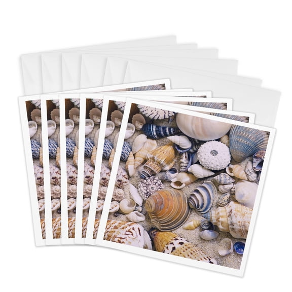 3drose, Beautiful Sea Shell Collection, 6 Greeting Cards with Envelopes