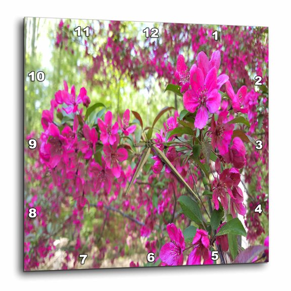 3drose, Beautiful Springtime Blossoms, 10x10 Wall Clock