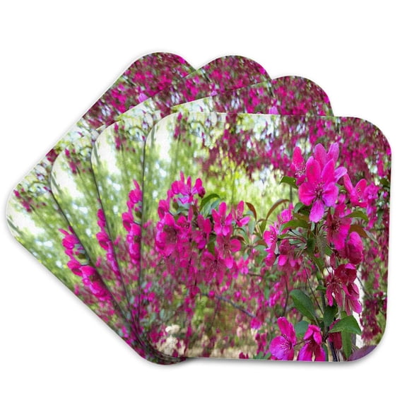 3drose, Beautiful Springtime Blossoms, Set of 4 Coasters - Soft