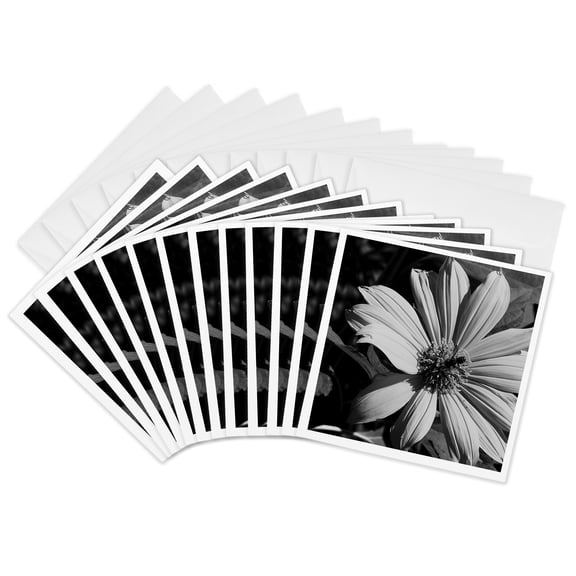 3drose, Bee Black N White Flower, 12 Greeting Cards with Envelopes