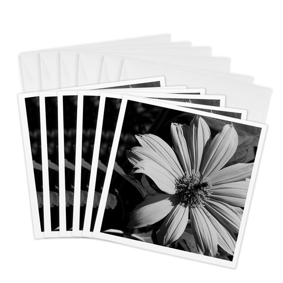 3drose, Bee Black N White Flower, 6 Greeting Cards with Envelopes