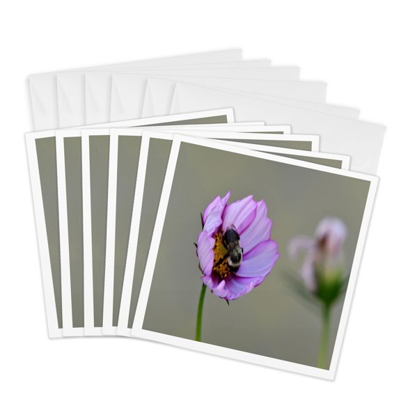 3drose, Bee in a Pink and Purple Flower, 6 Greeting Cards with Envelopes