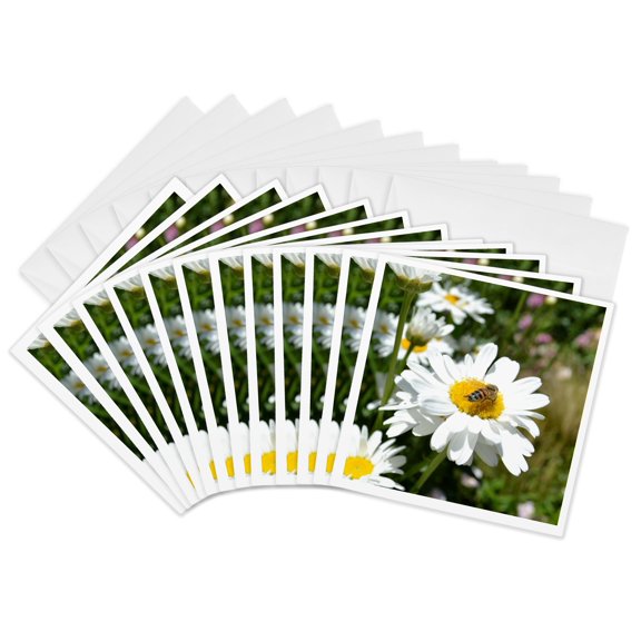 3drose, Bee on a Daisy, 12 Greeting Cards with Envelopes