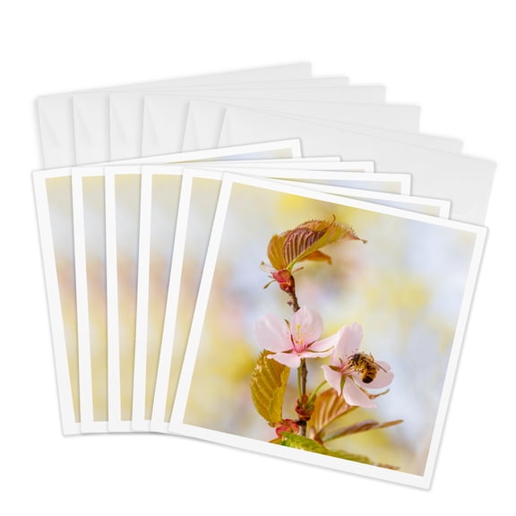 3drose, Bee on a Pink Sakura Cherry Flower. Soft Colors, 6 Greeting Cards with Envelopes