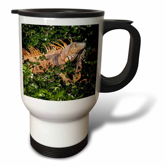 3drose, Belize, Crooked Tree, Male Green Iguana., 14oz Stainless Steel Travel Mug