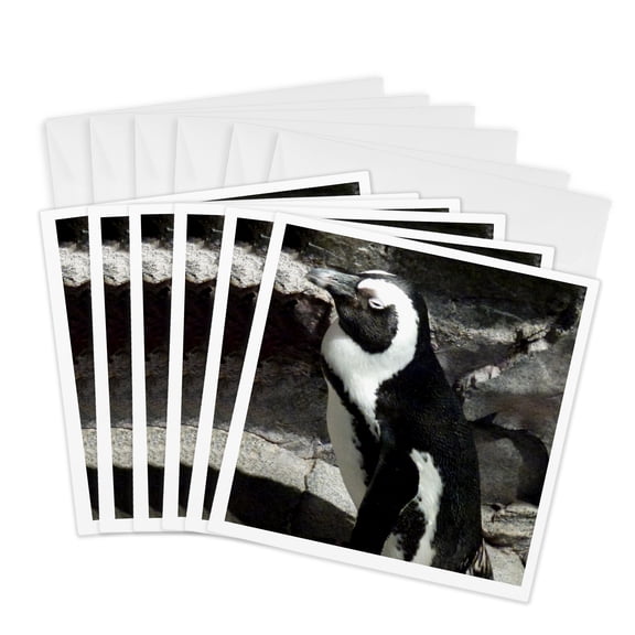 3drose, Big Penguin Napping at the Boston Aquarium, 6 Greeting Cards with Envelopes