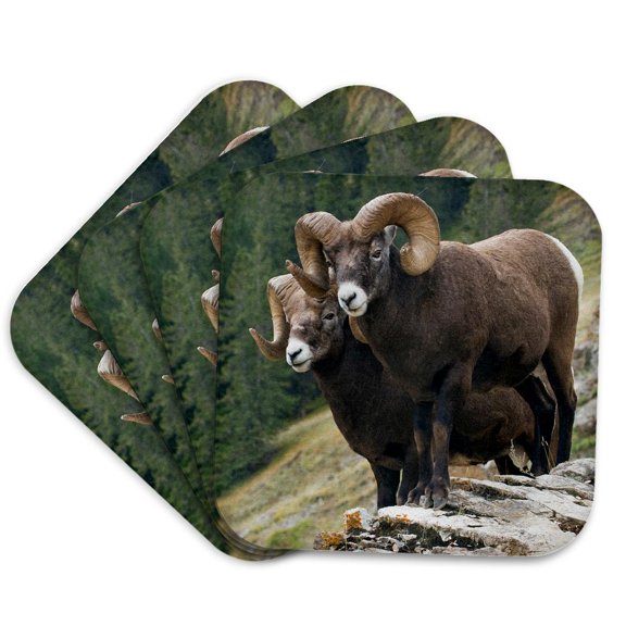 3drose, Bighorn Sheep Rams on the Mountainside, Set of 4 Coasters - Soft