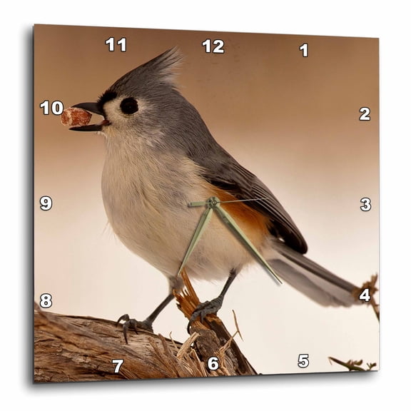 3drose, Bird Loves Peanuts, 10x10 Wall Clock