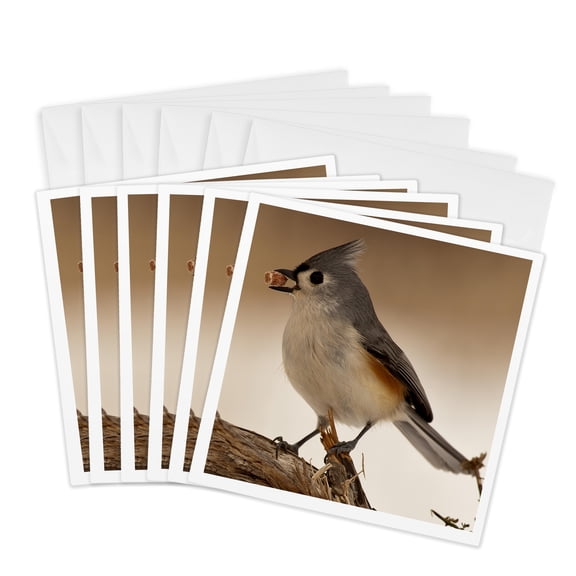 3drose, Bird Loves Peanuts, 6 Greeting Cards with Envelopes