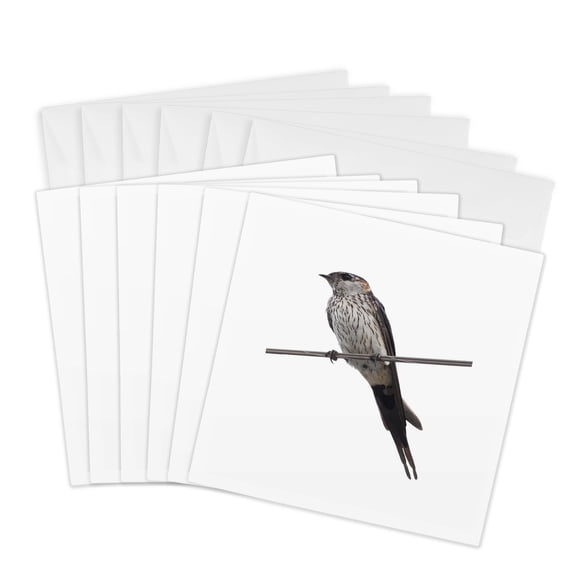 3drose, Bird on a Wire Red-rumped Swallow Vector Art, 6 Greeting Cards with Envelopes