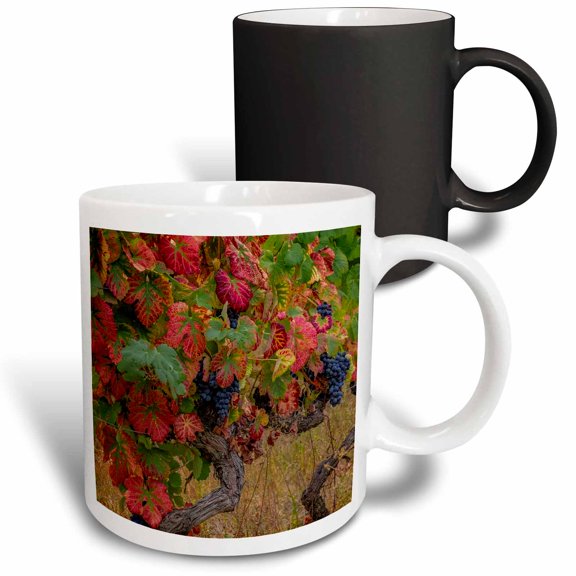 3drose, Biscoitos, Terceira Island, Azores, Portugal. Surf Crashing on Rocks., 11oz Magic Transforming Mug