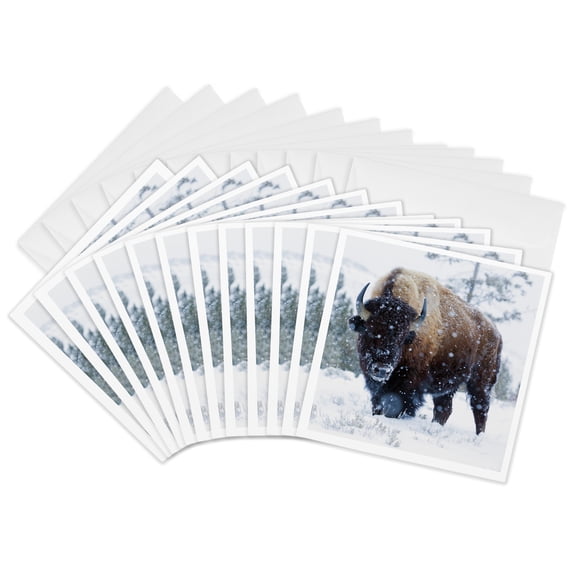 3drose, Bison Bulls, Winter Landscape, 12 Greeting Cards with Envelopes