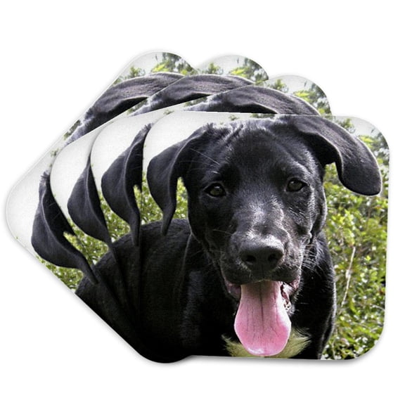 3drose, Black Labrador Puppy, Set of 4 Coasters - Soft