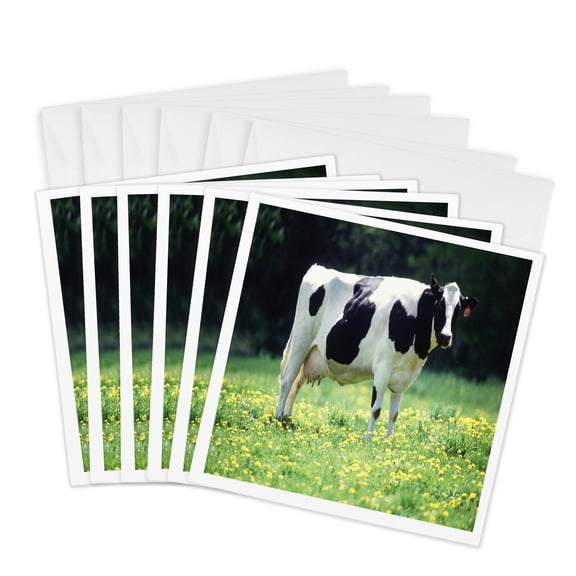 3drose, Black N White Cow on Grass, 6 Greeting Cards with Envelopes
