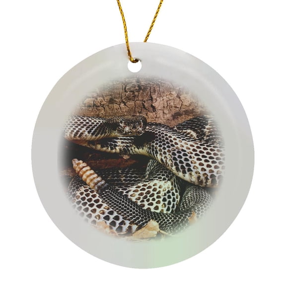 3drose, Black Phase Timber Rattlesnake, Native to Ne Us - Na02 Dno0965 - David Northcott, Circle Porcelain Ornament