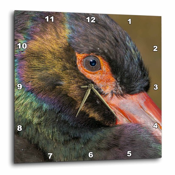 3drose, Black Stork. Germany, Bavaria, 10x10 Wall Clock