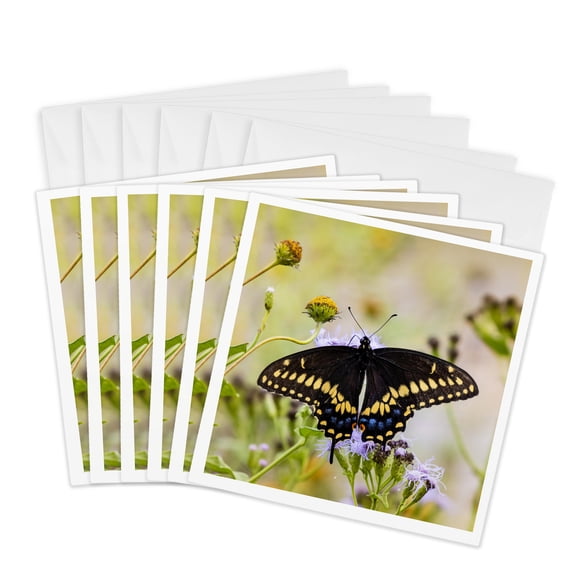 3drose, Black Swallowtail Butterfly Feeding., 6 Greeting Cards with Envelopes