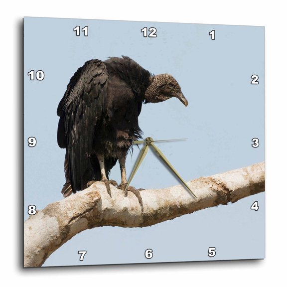 3drose, Black Vulture Patiently Waiting, 10x10 Wall Clock