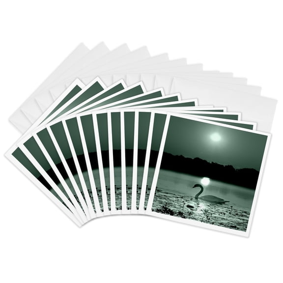 3drose, Black White Peaceful Swan Photo, 12 Greeting Cards with Envelopes