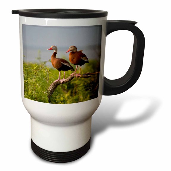 3drose, Black-bellied Whistling Duck, South Texas, Usa - Us44 Ldi0755 - Larry Ditto, 14oz Stainless Steel Travel Mug