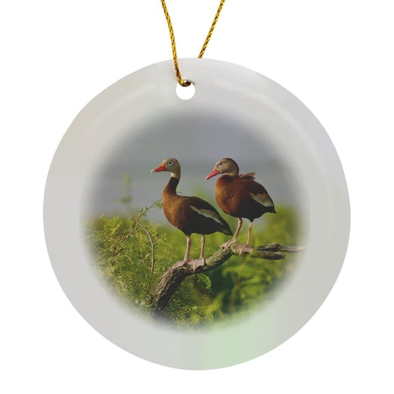3drose, Black-bellied Whistling Duck, South Texas, Usa - Us44 Ldi0755 - Larry Ditto, Circle Porcelain Ornament