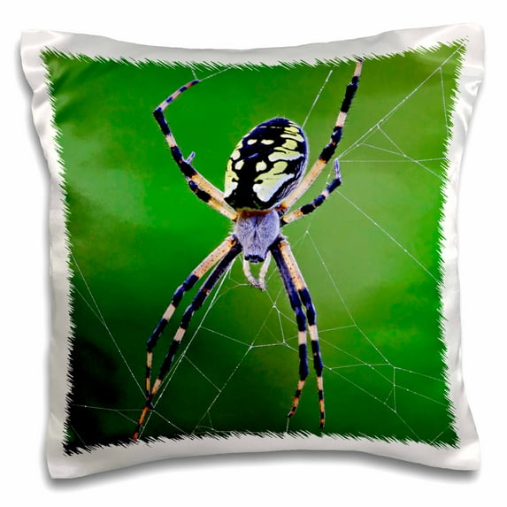 3drose, Black-yellow Argiope Spider, Rockport, Maine - Us20 Aje0020 - Adam Jones, 16x16 inch Pillow Case