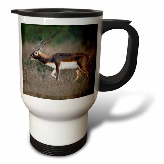 3drose, Blackbuck, Antelope Cervicapra Exotic Animal in Texas Habitat, 14oz Stainless Steel Travel Mug