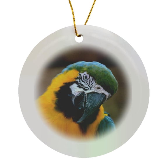 3drose, Blue Gold Parrot Macaw Head Tilted, Circle Porcelain Ornament